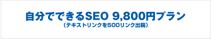 ʬǤǤSEO 9,800ߥץʥƥȥ󥯤500󥯽йơ